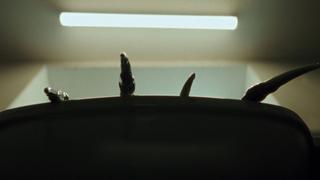 Episode 3 Episode 3