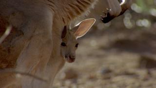 Warm Weather Warm Weather