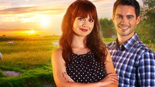 Plus One at an Amish Wedding