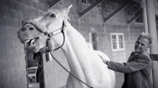 Conjuring the Dead, Cinderella Horse and Hunt for the Yeti