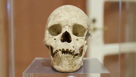 Mary Magdalene Enigma