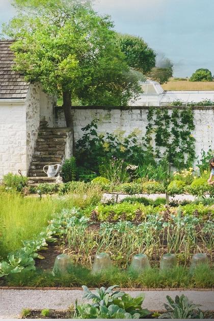 The Garden Chronicles