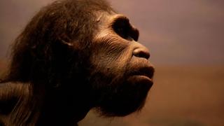 Mysteries of the Missing Link Mysteries of the Missing Link