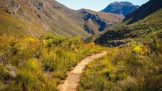Mountain Trails