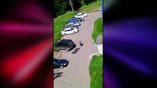 Clip: Bad and Bonkers