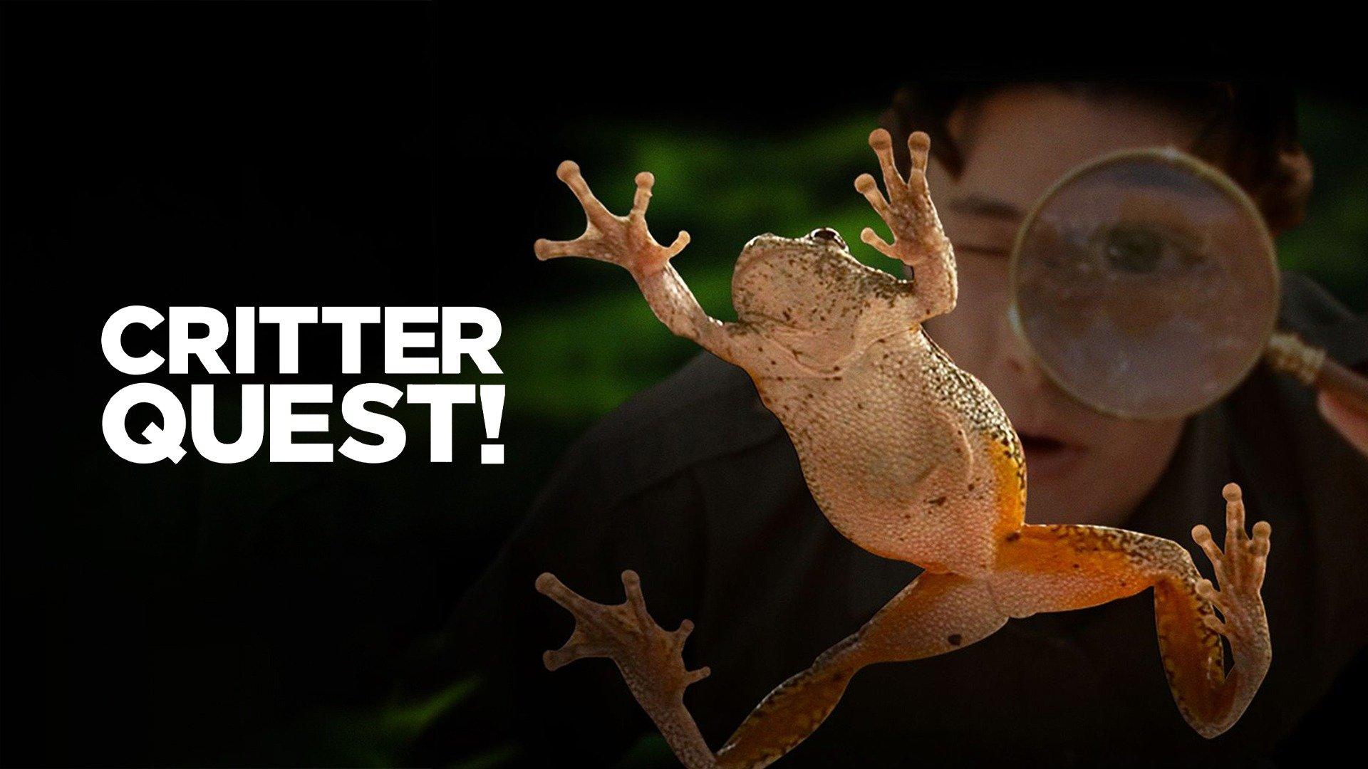 Watch Critter Quest! Streaming on Philo