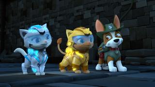 PAW Patrol