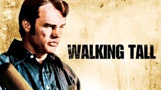  watch Walking Tall