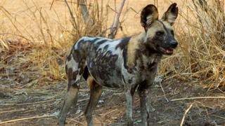 Here Comes the Rain Here Comes the Rain