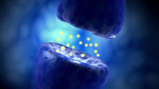 Human Enhancement Human Enhancement