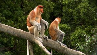 Family Time Family Time