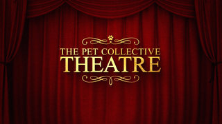 TPC Theatre