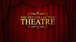TPC Theatre