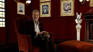 Too Cute to Fail Too Cute to Fail