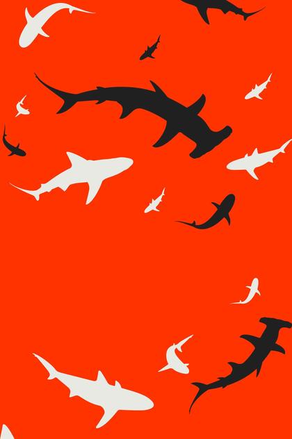 Shark Week