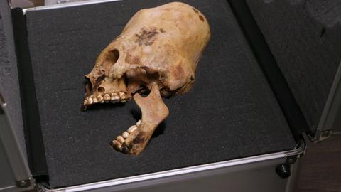 Ancient Aliens on Location: Evidence of Alien Life