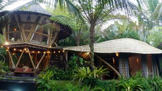 Bali Bamboo Beehive Bali Bamboo Beehive
