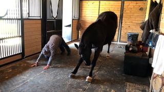 The Legend of Hank the Tank The Legend of Hank the Tank