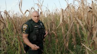 Corn Maze Chase Corn Maze Chase