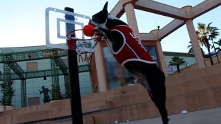 Dance Like Nobody's Watching Dance Like Nobody's Watching