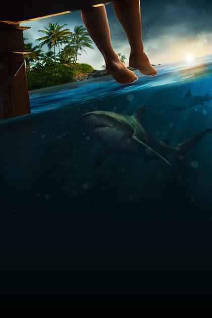 Great White Open Ocean