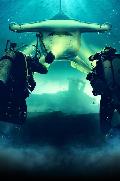 Rise of the Monster Hammerheads