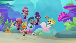 The Jaw-some Sharkventure! The Jaw-some Sharkventure!