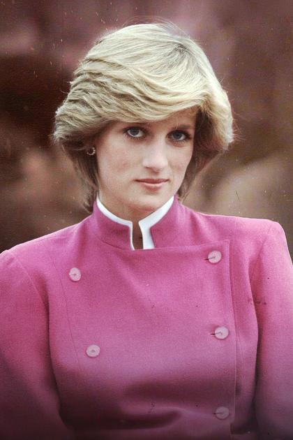 The Diana Investigations