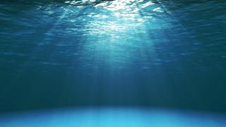 Journey to the Sea of Cortez