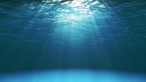 Journey to the Sea of Cortez