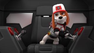 PAW Patrol