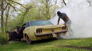 Swamp-Stang Swamp-Stang