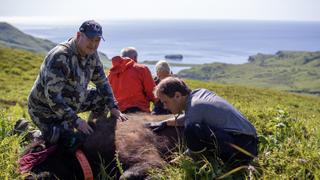 Hard Truths of Conservation