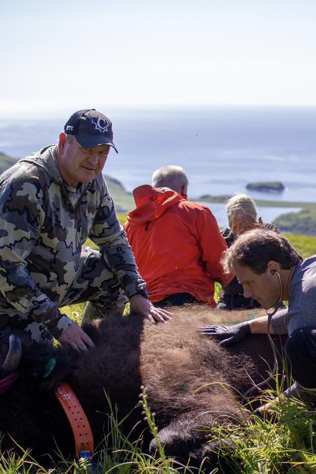 Hard Truths of Conservation