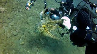 World's Most Expensive Fails