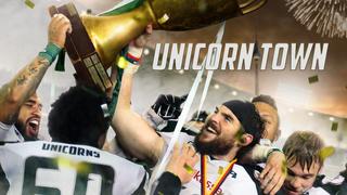 Unicorn Town