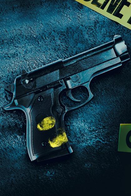 Crime Stoppers: Case Files