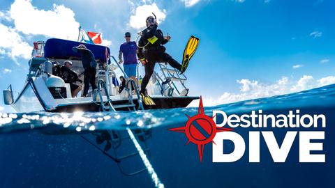 Destination Dive