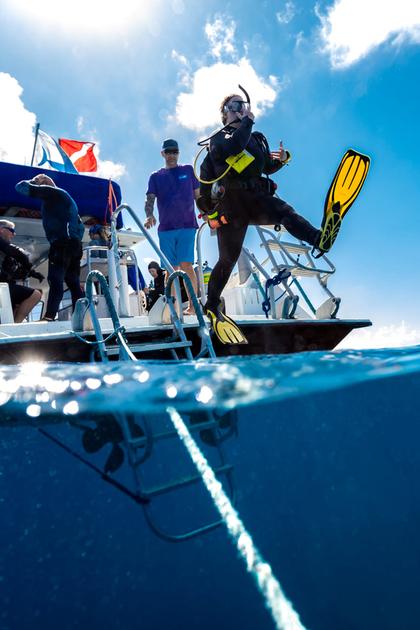 Destination Dive