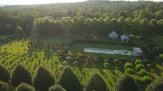 Martha's Amazing Maze and How to Grow Trees From Seedlings