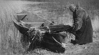 Jump Into the Fire Jump Into the Fire