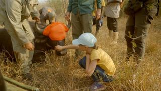 Wild Wonders With Brooke