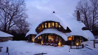 Welcome to Casa Neverlandia!