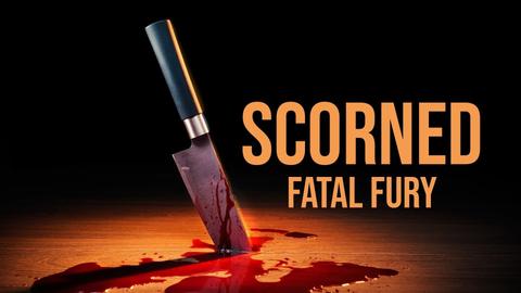 Scorned: Fatal Fury