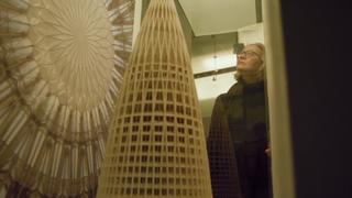 NYC Revealed