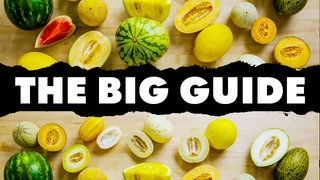 The Big Guide