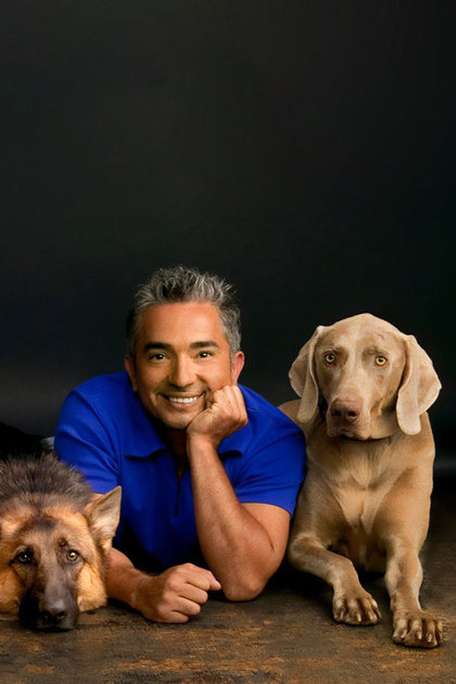 Dog Whisperer