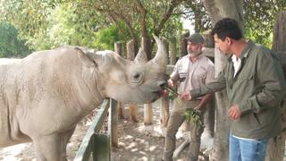 El Futuro del Planeta