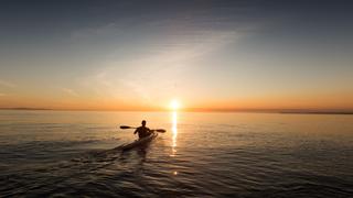 Ben Lecomte Ben Lecomte