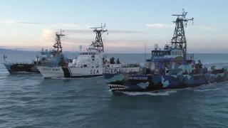 African Success Stories